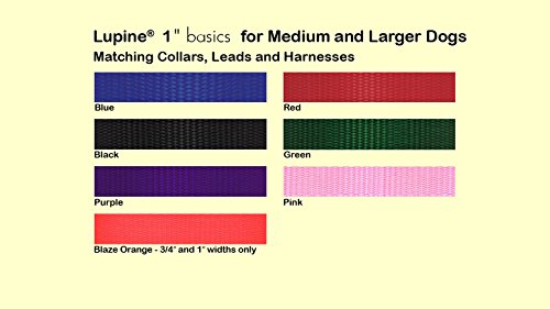Lupine basics - 1" PINK - 4' Leash with Padded Handle (122CM)