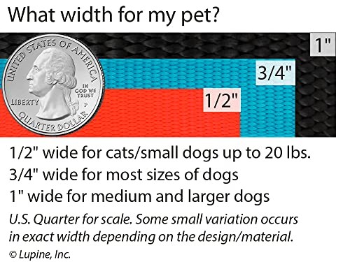 LupinePet 1-inch-wide - AQUA - 4' DOG LEASH with Padded Handle (122cm)