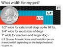 LupinePet 1-inch-wide - AQUA - 4' DOG LEASH with Padded Handle (122cm)