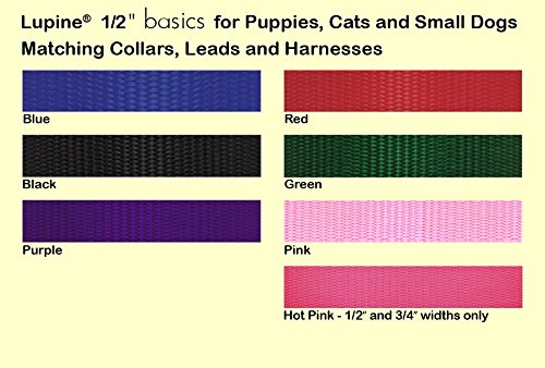 LupinePet 1/2-inch-wide - PURPLE - DOG LEASH with Padded Handle
