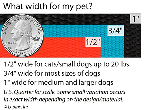 LupinePet 1/2-inch-wide - PINK - 4' DOG LEASH with Padded Handle (122cm)