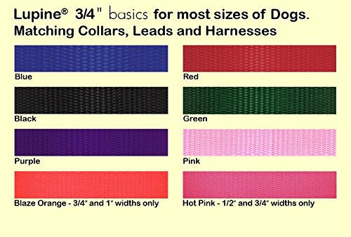 LupinePet 3/4-inch-wide - PURPLE - STEP IN HARNESS - (15" - 21") (39 - 53 CM)