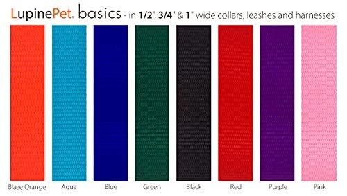 LupinePet 3/4-inch-wide - AQUA - 4' LEASH with Padded Handle - (122 cm)