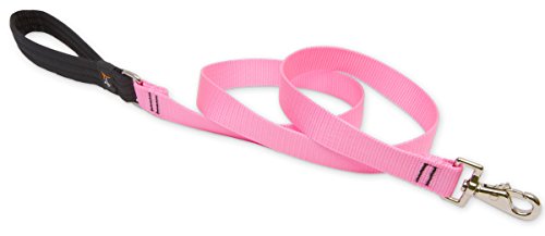 LupinePet 1-inch-wide - PINK - 4' DOG LEASH with Padded Handle (122CM)