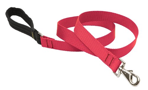 LupinePet 1-inch-wide - RED - 4' DOG LEASH with Padded Handle (122cm)