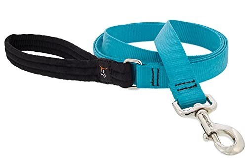 LupinePet 1-inch-wide - AQUA - 4' DOG LEASH with Padded Handle (122cm)