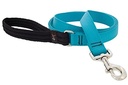 LupinePet 1-inch-wide - AQUA - 4' DOG LEASH with Padded Handle (122cm)