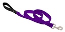 LupinePet 1-inch-wide - PURPLE - 4' DOG LEASH with Padded Handle (122cm)