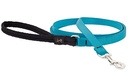 LupinePet 1/2-inch-wide - AQUA - 4' DOG LEASH with Padded Handle (122cm)