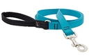 LupinePet 3/4-inch-wide - AQUA - 4' DOG LEASH with Padded Handle - (122 cm)