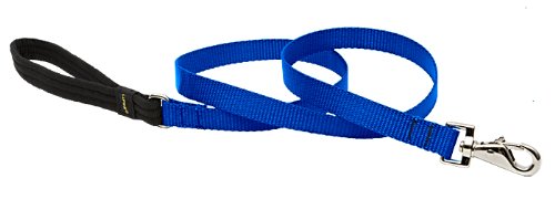LupinePet 3/4-inch-wide - BLUE - 4' DOG LEASH Padded Handle (122 CM)