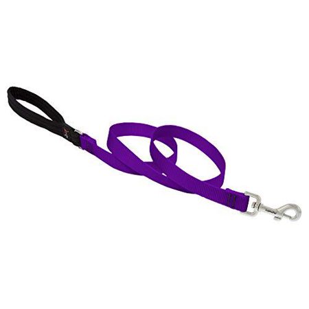 LupinePet 3/4-inch-wide - PURPLE - 4' DOG LEASH with Padded Handle (122 CM)