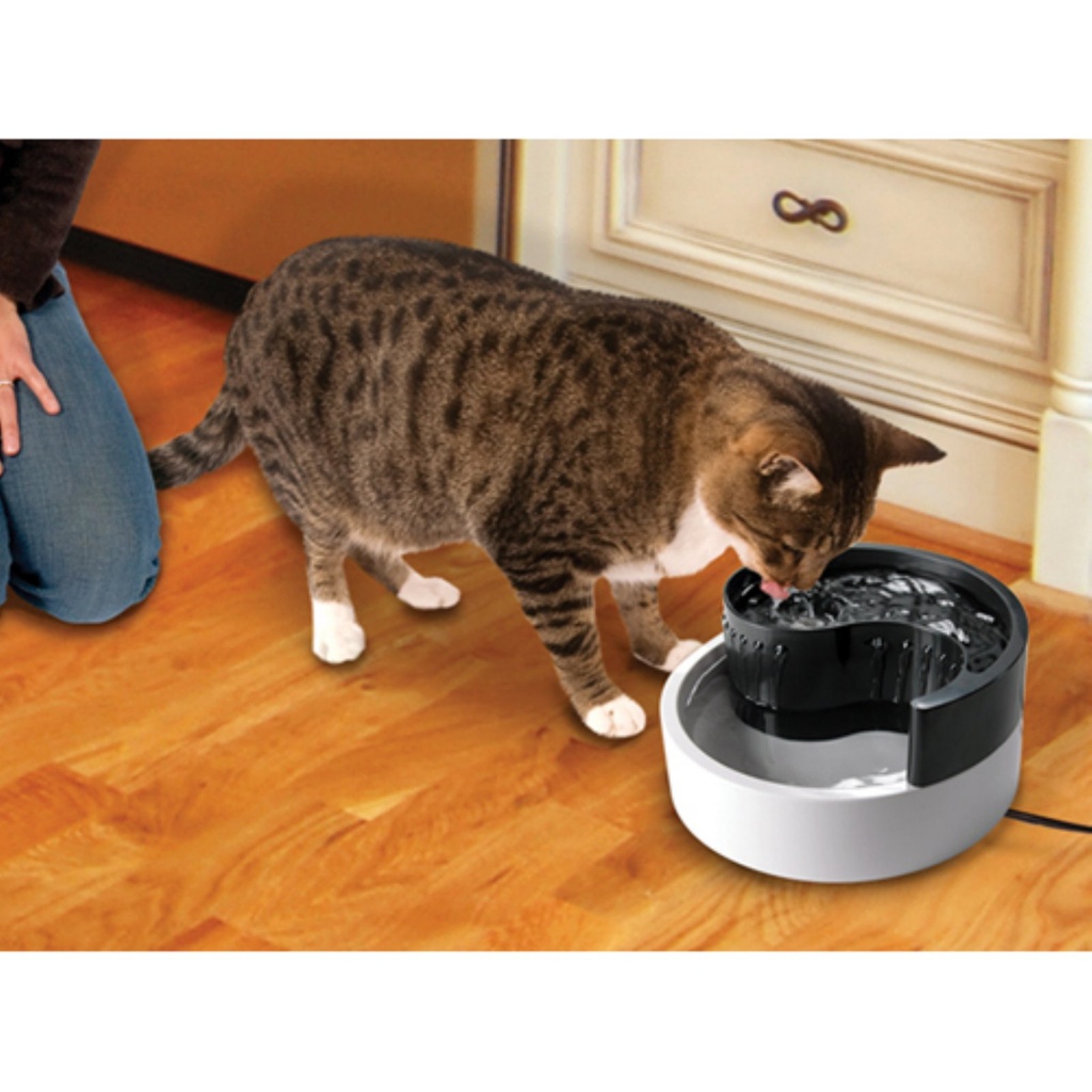 Pioneer Pet - Cat Drinking Fountain - Fung Shui Style 1.8L